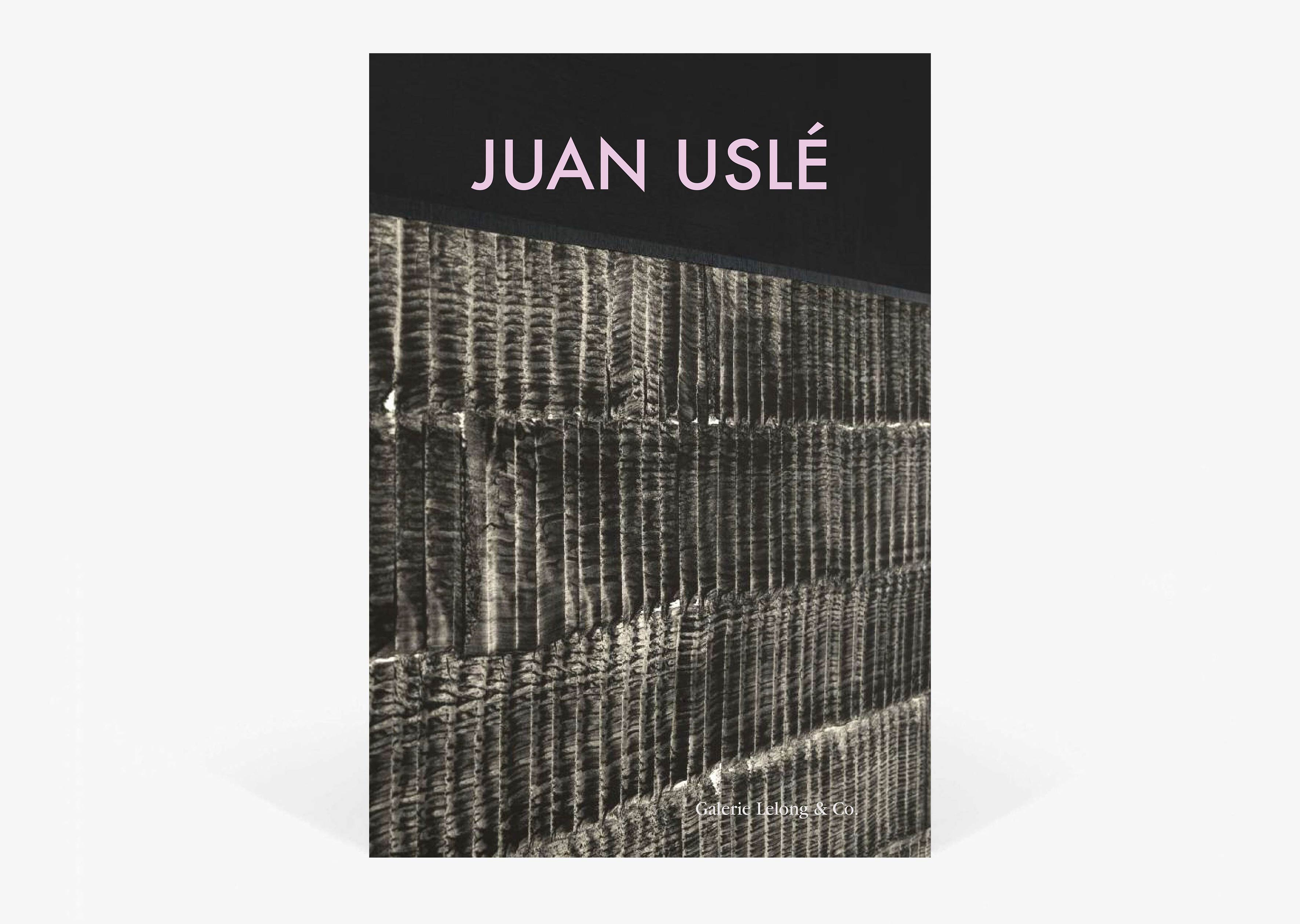 livre La noche se agita Juan Uslé
