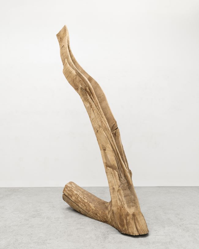 David Nash - artiste - Galerie Lelong & Co.