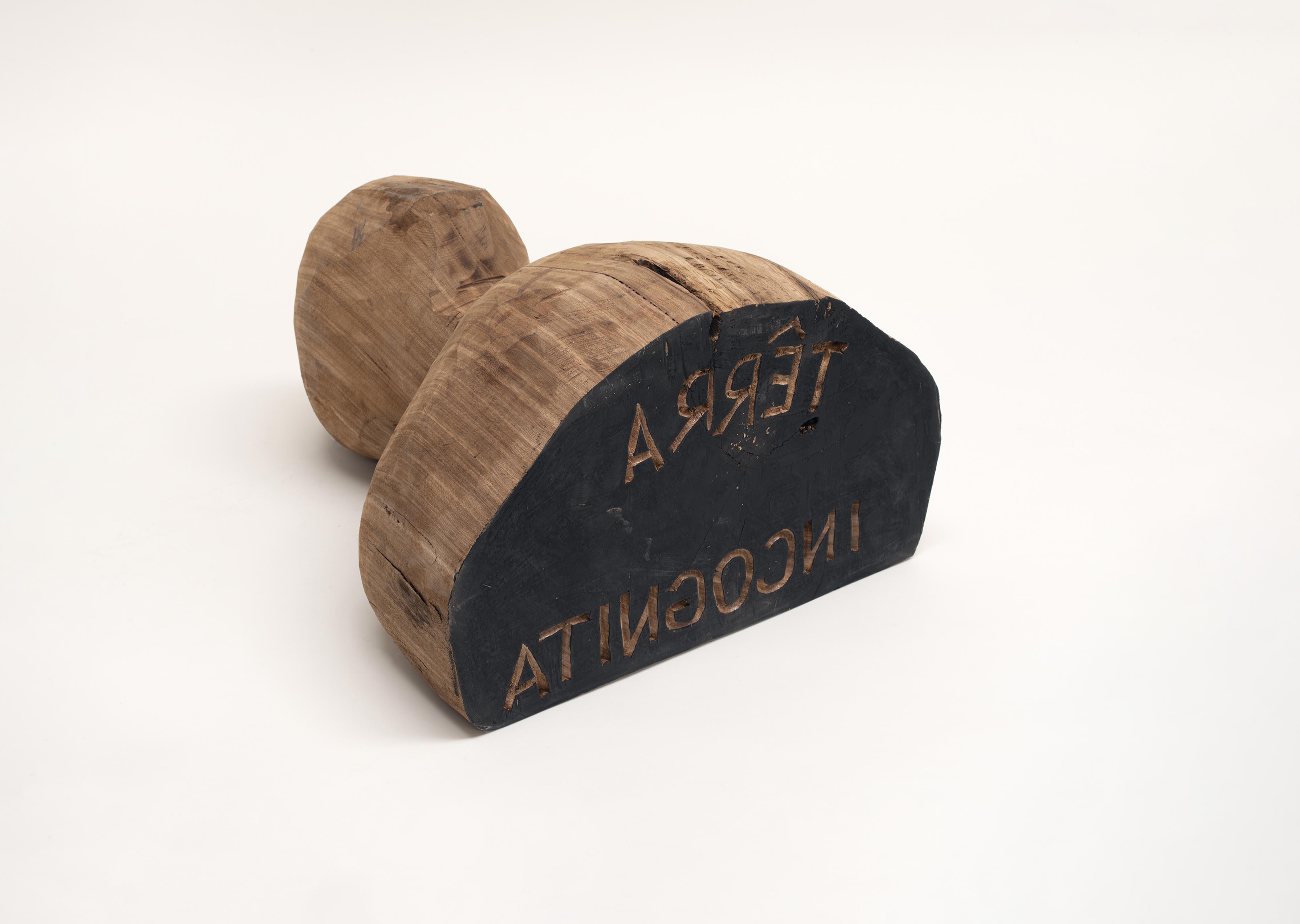 oeuvre Terra Incognita Barthélémy Toguo